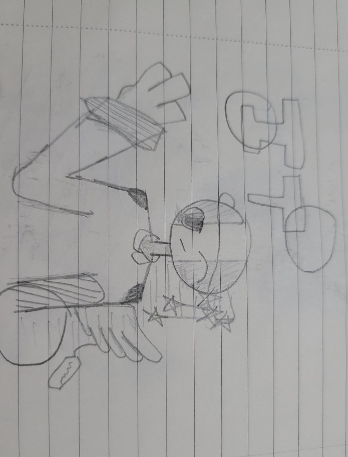 Image 5