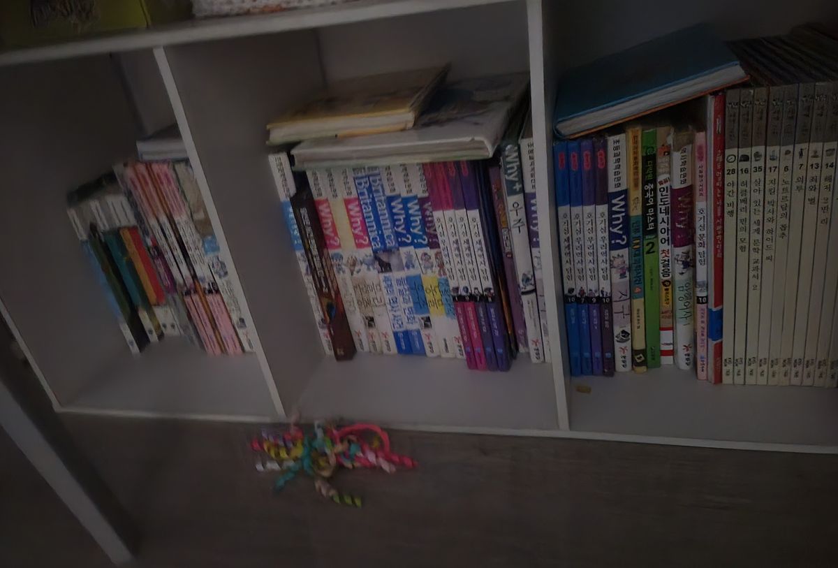 Image 5