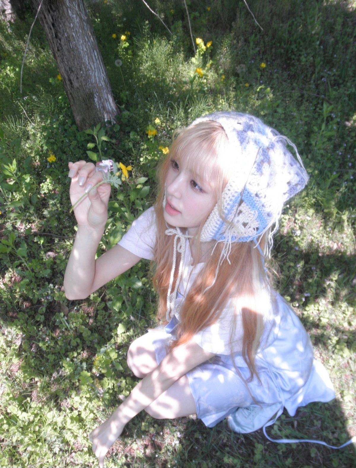 Image 5